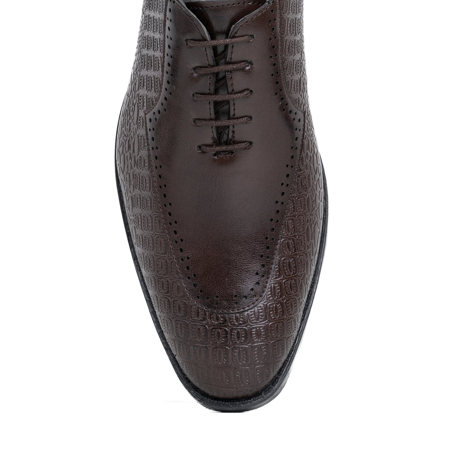 Naatu Formal Lace Up Shoes | Stylish Brogue Shoes for Men (Brown)